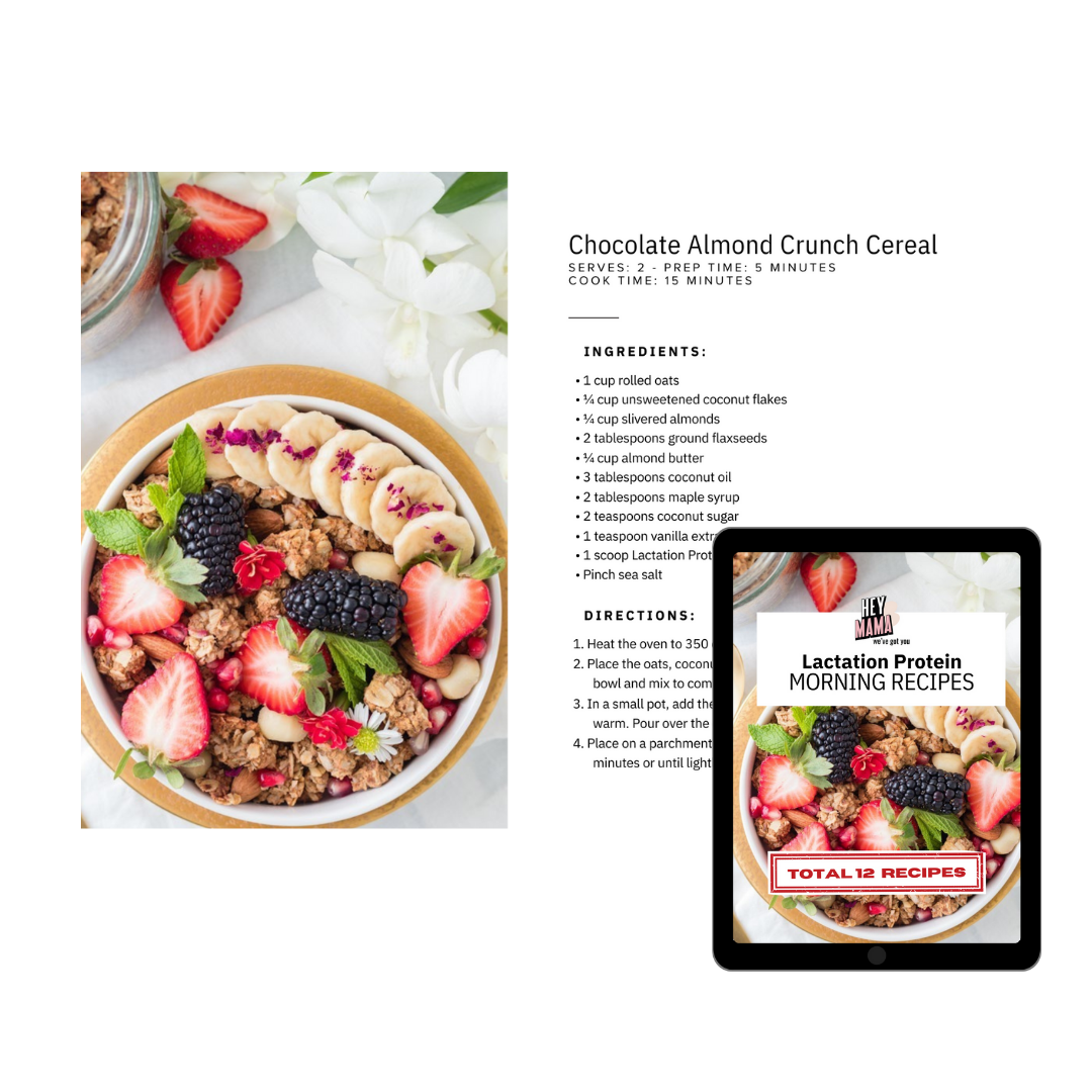 Lactation Protein Complete Recipes Collection